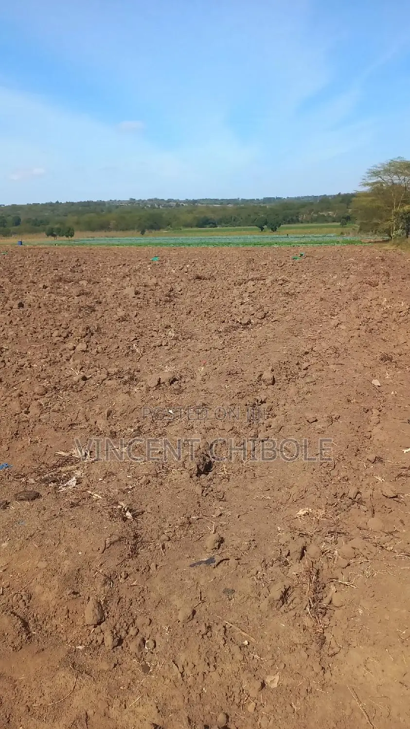 Land for Lease