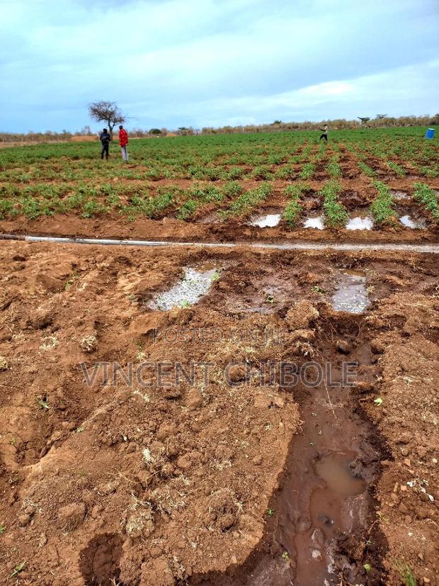 Land for Lease - thumbnail 3