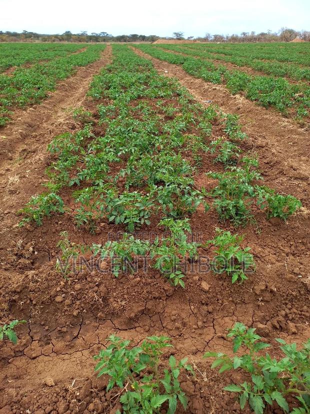 Land for Lease - thumbnail 2