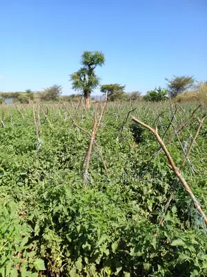 Land for Lease
