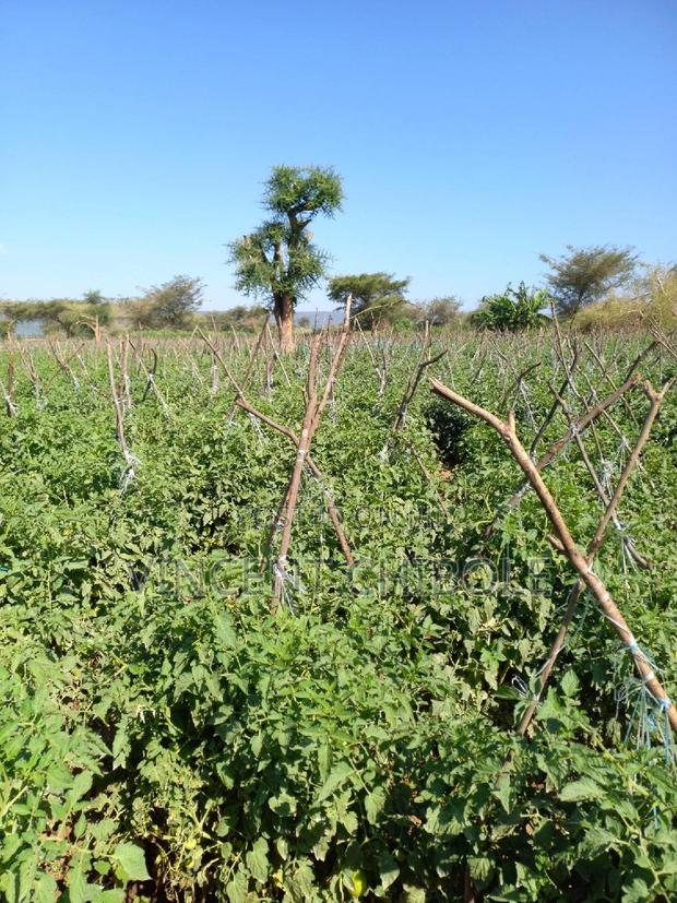 Land for Lease - thumbnail 4