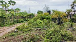 One Acre Prime Land in Kinondo for Sale!! At - thumbnail 2