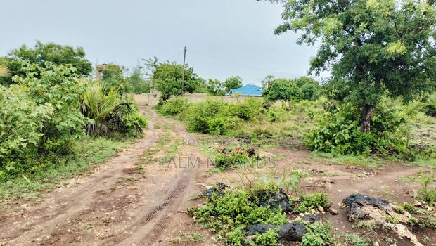 One Acre Prime Land in Kinondo for Sale!! At  - thumbnail 3