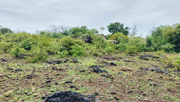 One Acre Prime Land in Kinondo for Sale!! At  - thumbnail 4