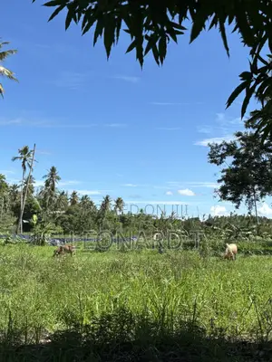 Prime 3-Acre Land for Sale – Only 20 Minutes From Diani!