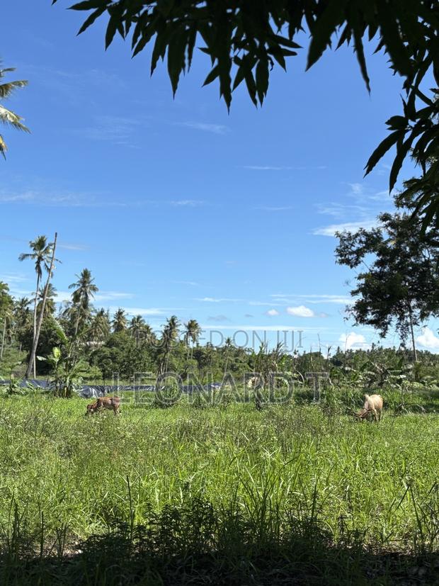 Prime 3-Acre Land for Sale – Only 20 Minutes From Diani! - thumbnail 3