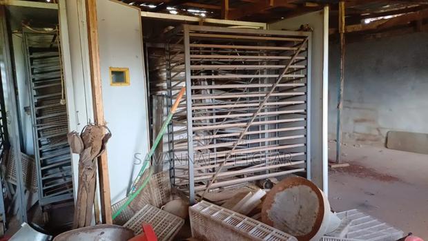 Used 22,000 Chicken Eggs Incubator for Sale