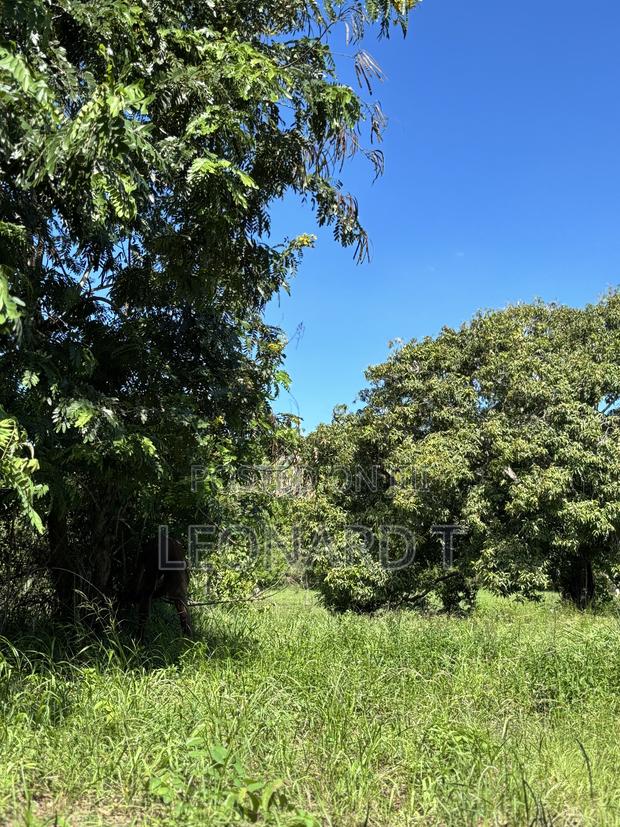 Prime 3-Acre Land for Sale – Only 20 Minutes From Diani! - thumbnail 4