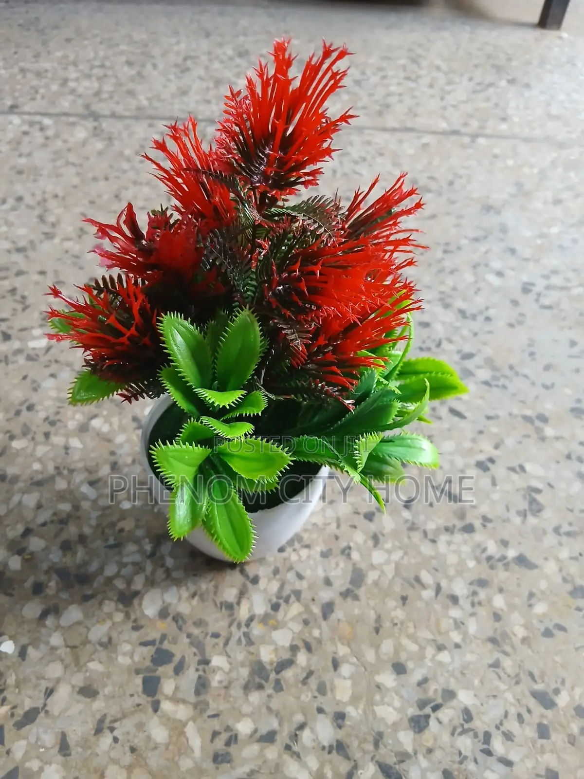 Small House Decors Available