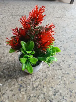 Small House Decors Available