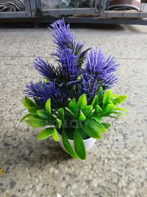 Small House Decors Available