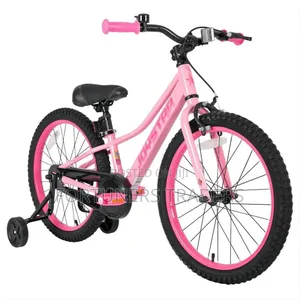 Bicycle Size 20 With Training Wheels
