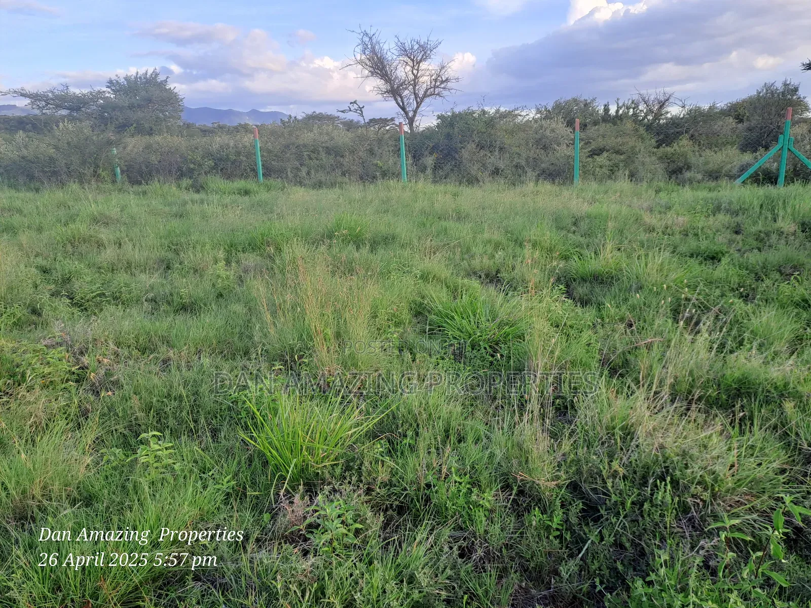 50 by 100 Gated Plot in Ngong Kimuka for Sale Added Value