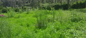 Prime Land for Sale – Kirigiti, Kiambu!