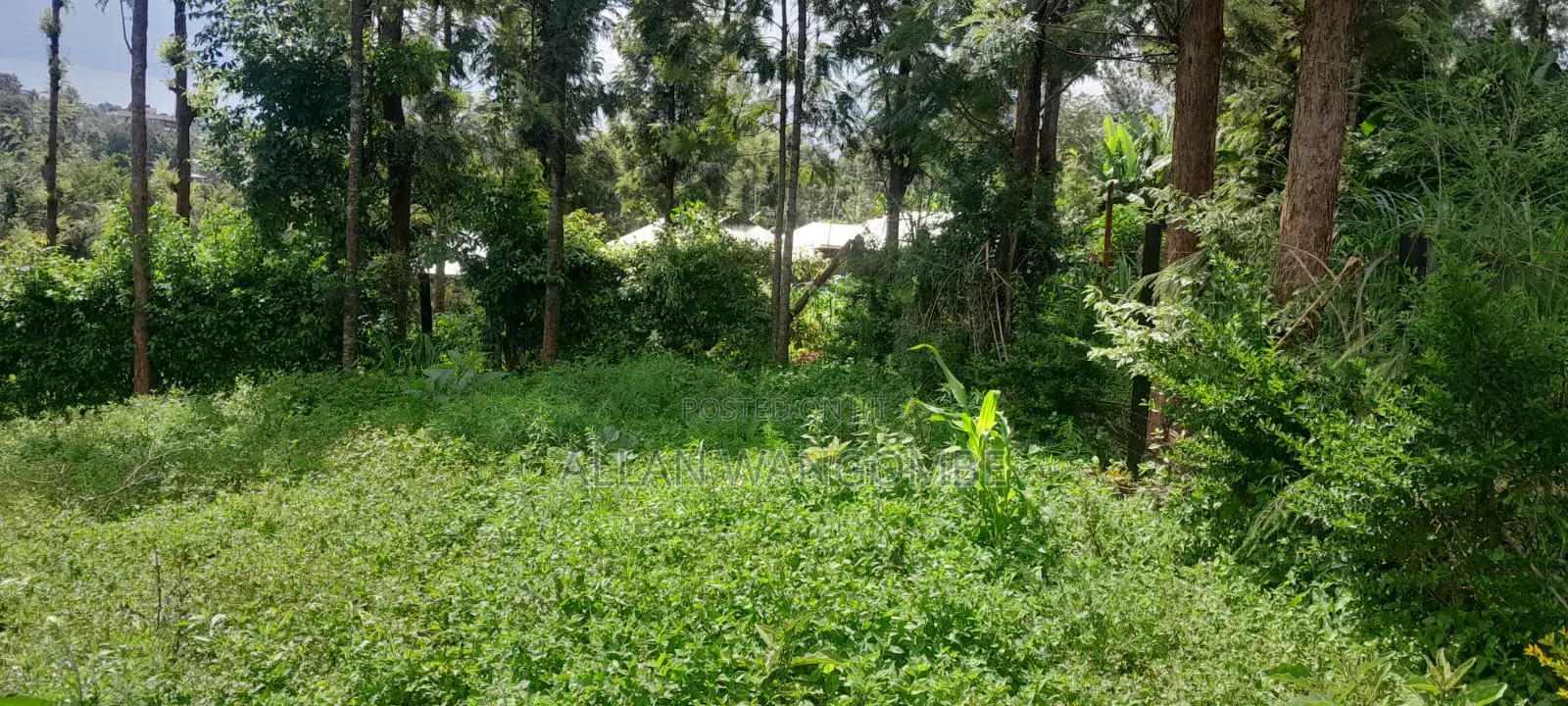 Prime Land for Sale – Kirigiti, Kiambu!