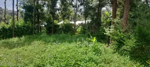 Prime Land for Sale – Kirigiti, Kiambu!