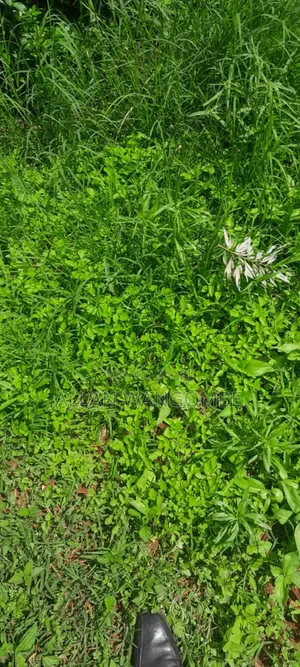 Prime Land for Sale – Kirigiti, Kiambu!