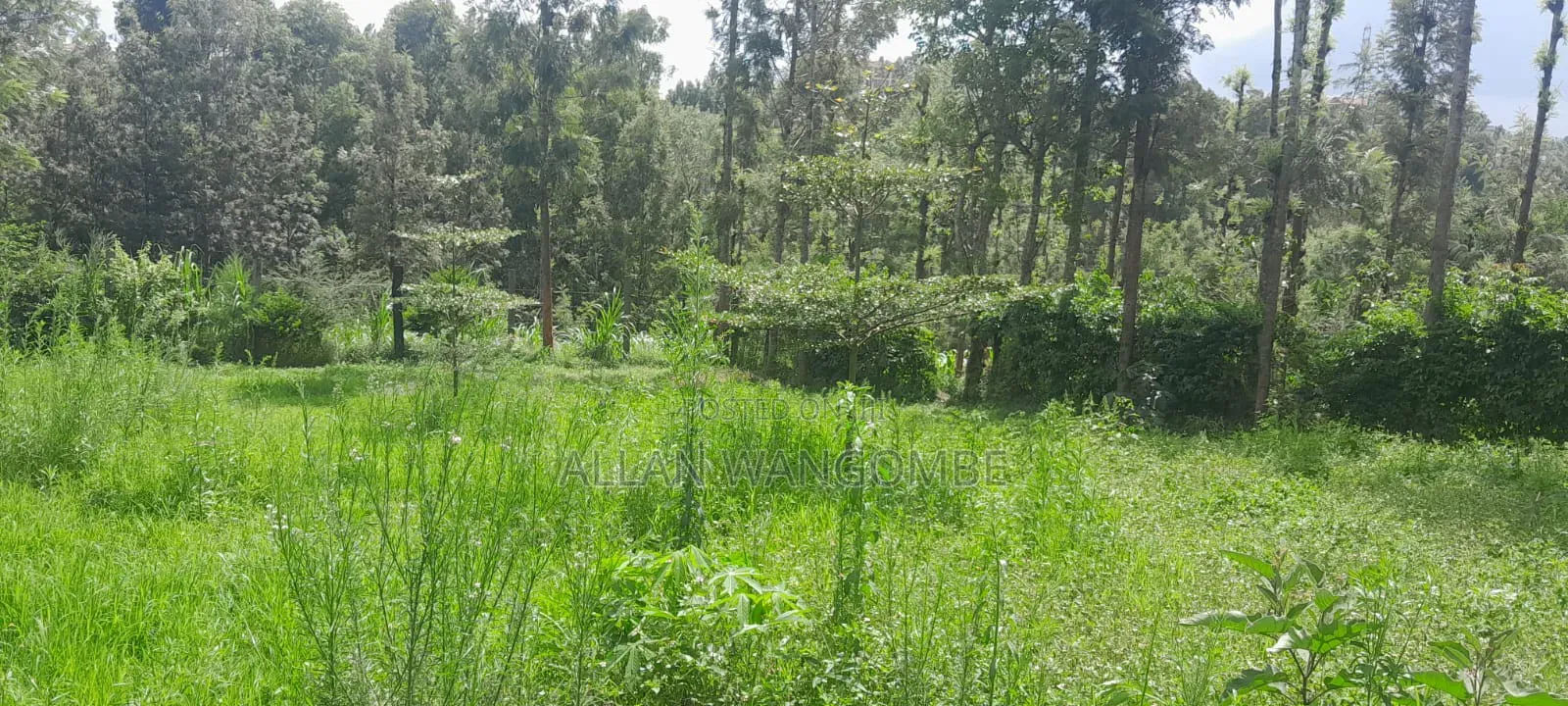 Prime Land for Sale – Kirigiti, Kiambu!
