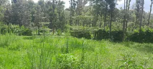 Prime Land for Sale – Kirigiti, Kiambu!