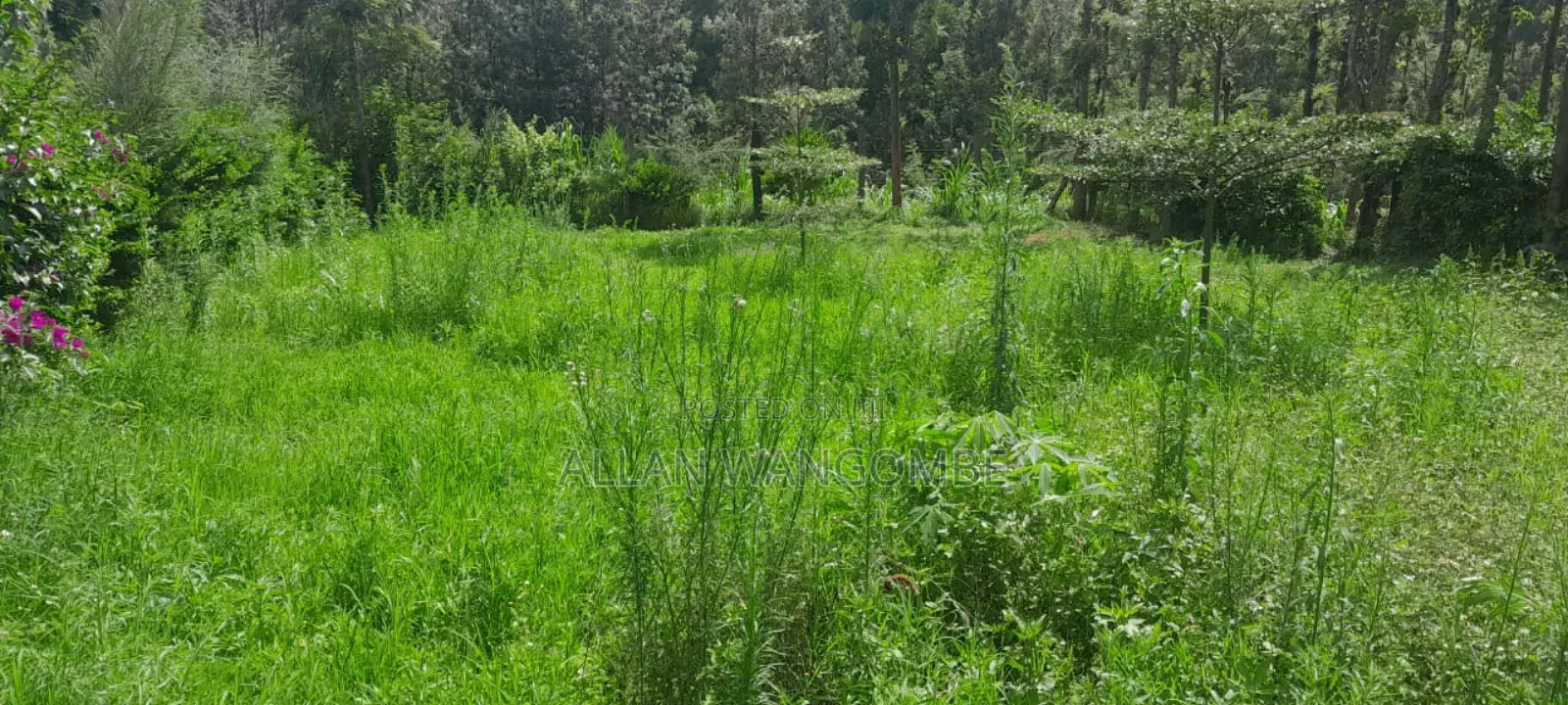 Prime Land for Sale – Kirigiti, Kiambu!