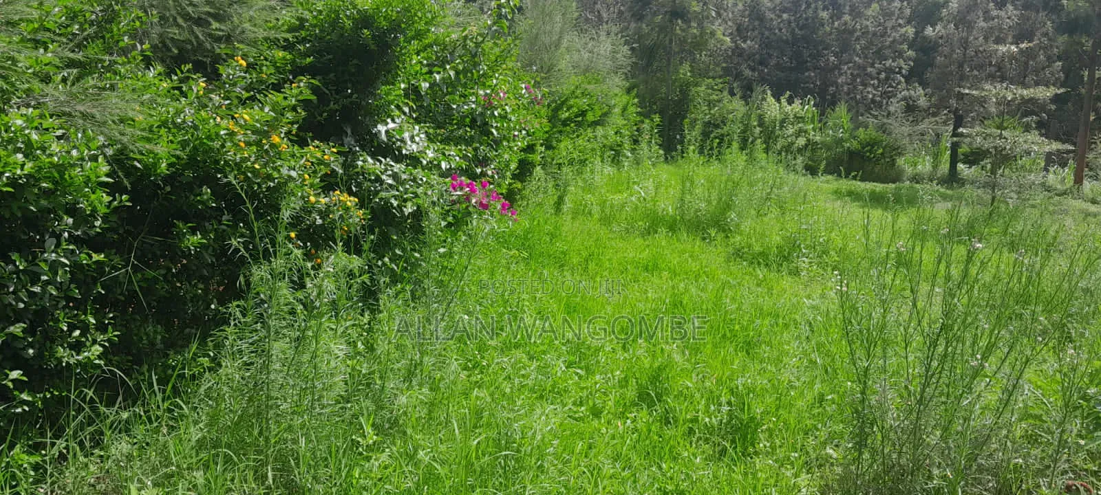 Prime Land for Sale – Kirigiti, Kiambu!