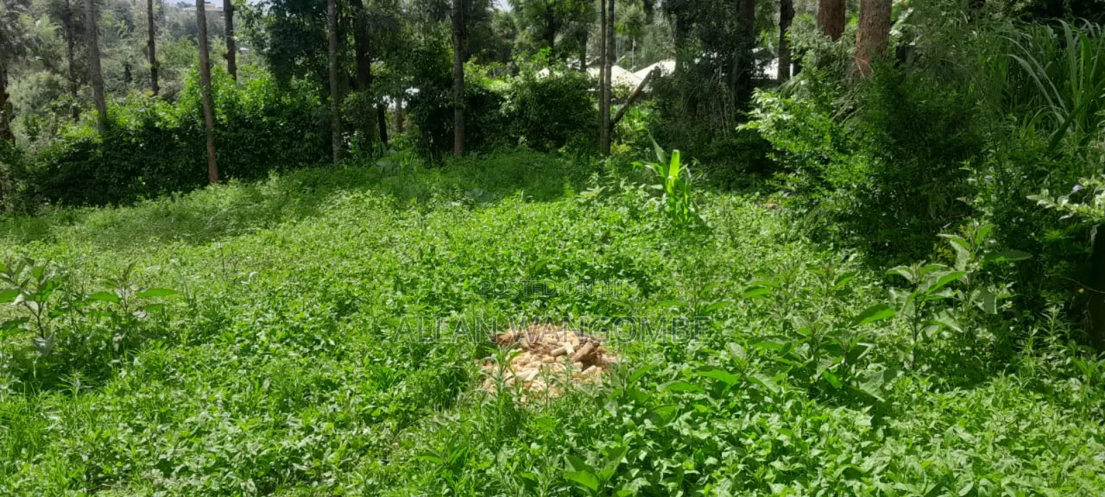 Prime Land for Sale – Kirigiti, Kiambu!