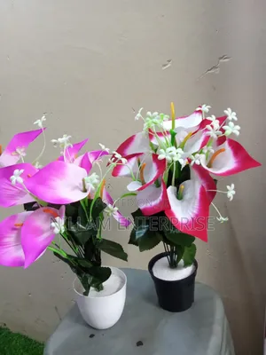 Artificial Home Decor Plants