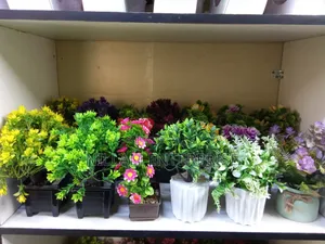 Artificial Home Decor Plants
