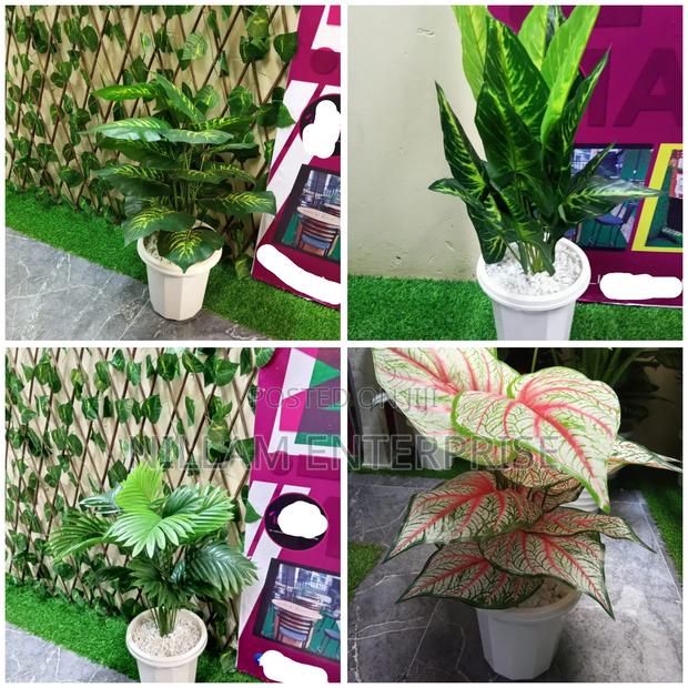 Artificial Plants - thumbnail 2