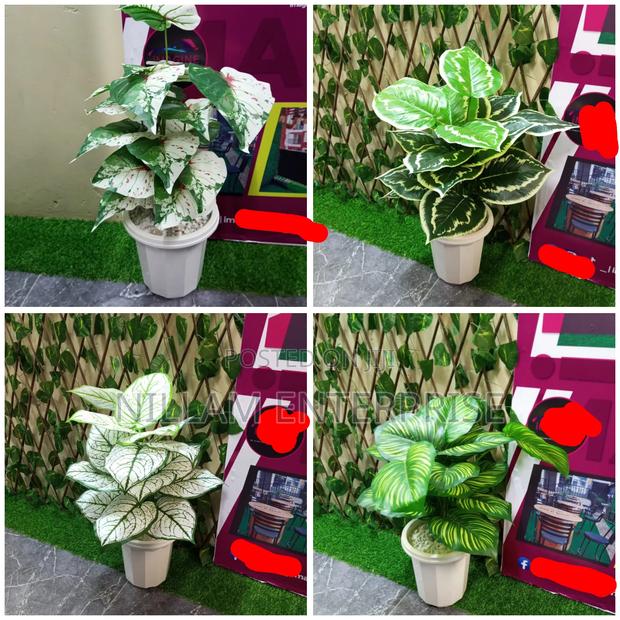 Artificial Plants - thumbnail 3