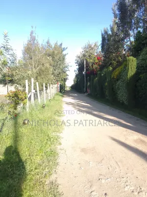 50x100 Plot at Syokimau Airport Road Selling 5.3m