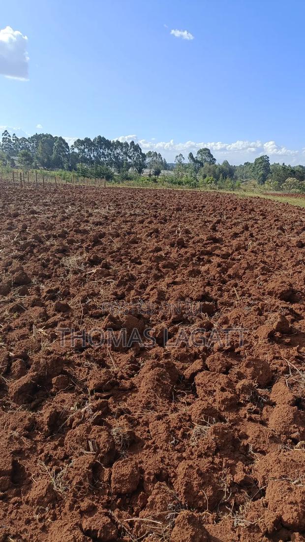 Eldoret Saroyot 1⁄4 Acre Plot on Sale - main view