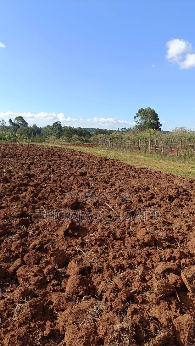 Eldoret Saroyot 1⁄4 Acre Plot on Sale - thumbnail 2