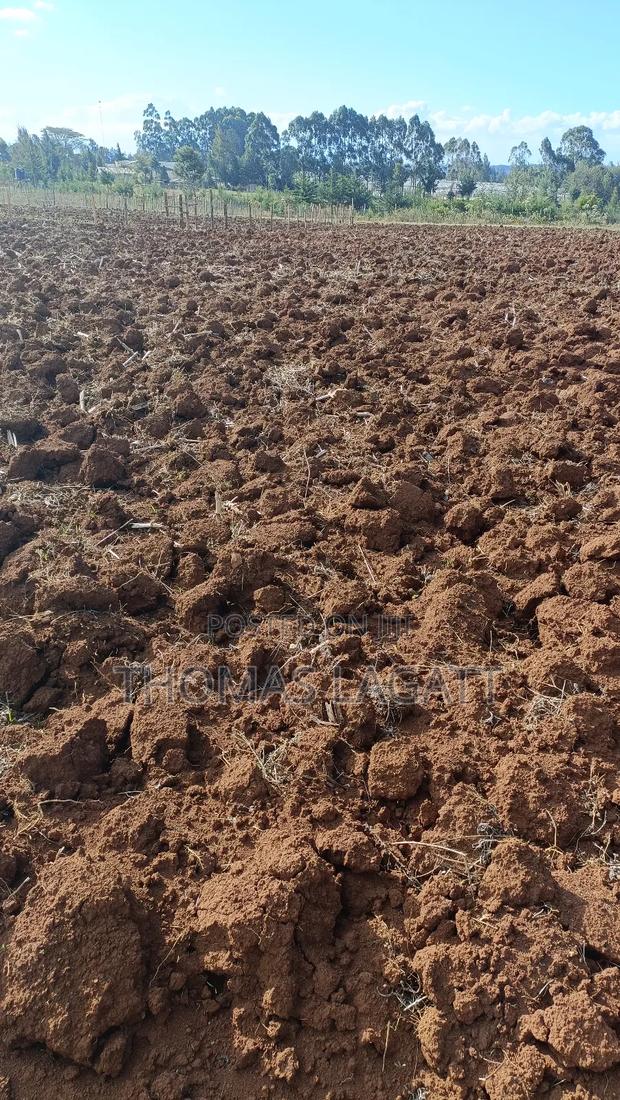 Eldoret Saroyot 1⁄4 Acre Plot on Sale - thumbnail 4