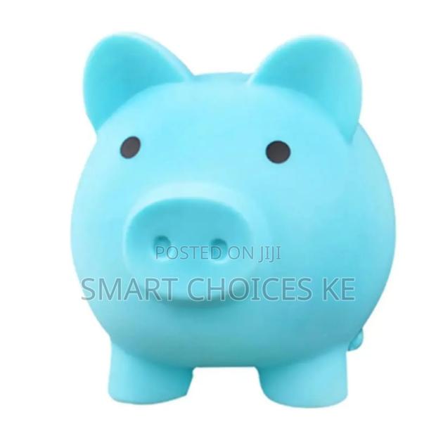 Cute Design Piggy Bank- Blue and Pink Available