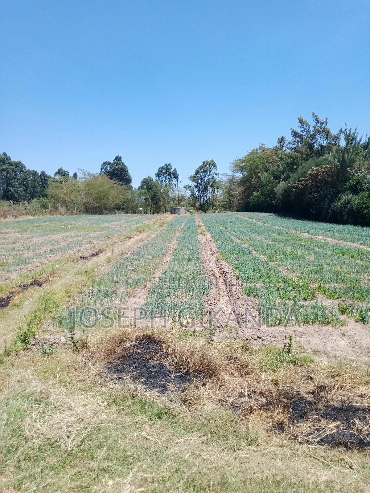 Agricultural Land