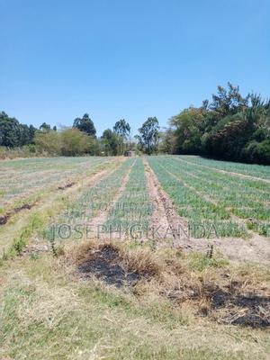 Agricultural Land - thumbnail 2