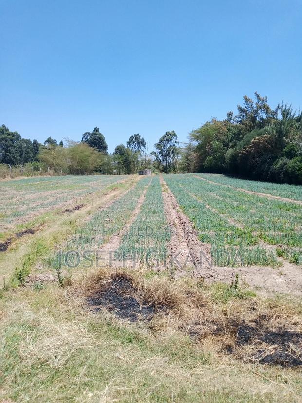 Agricultural Land - main view