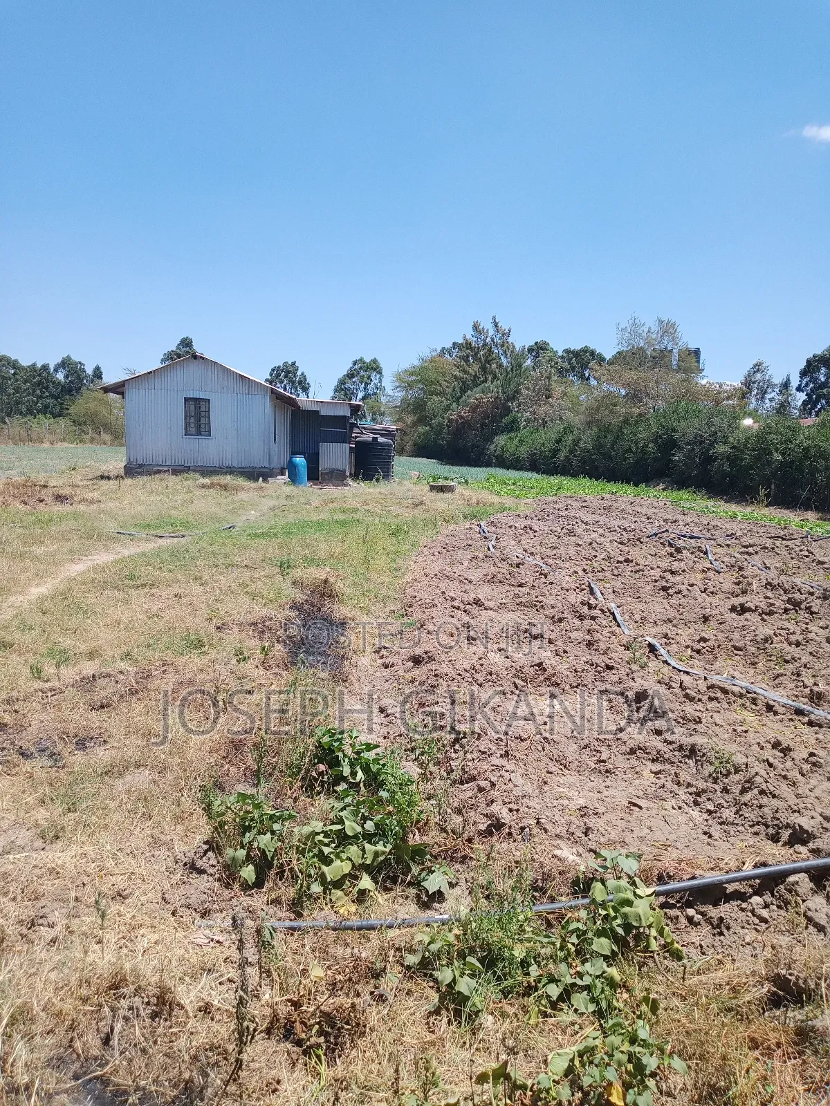Agricultural Land