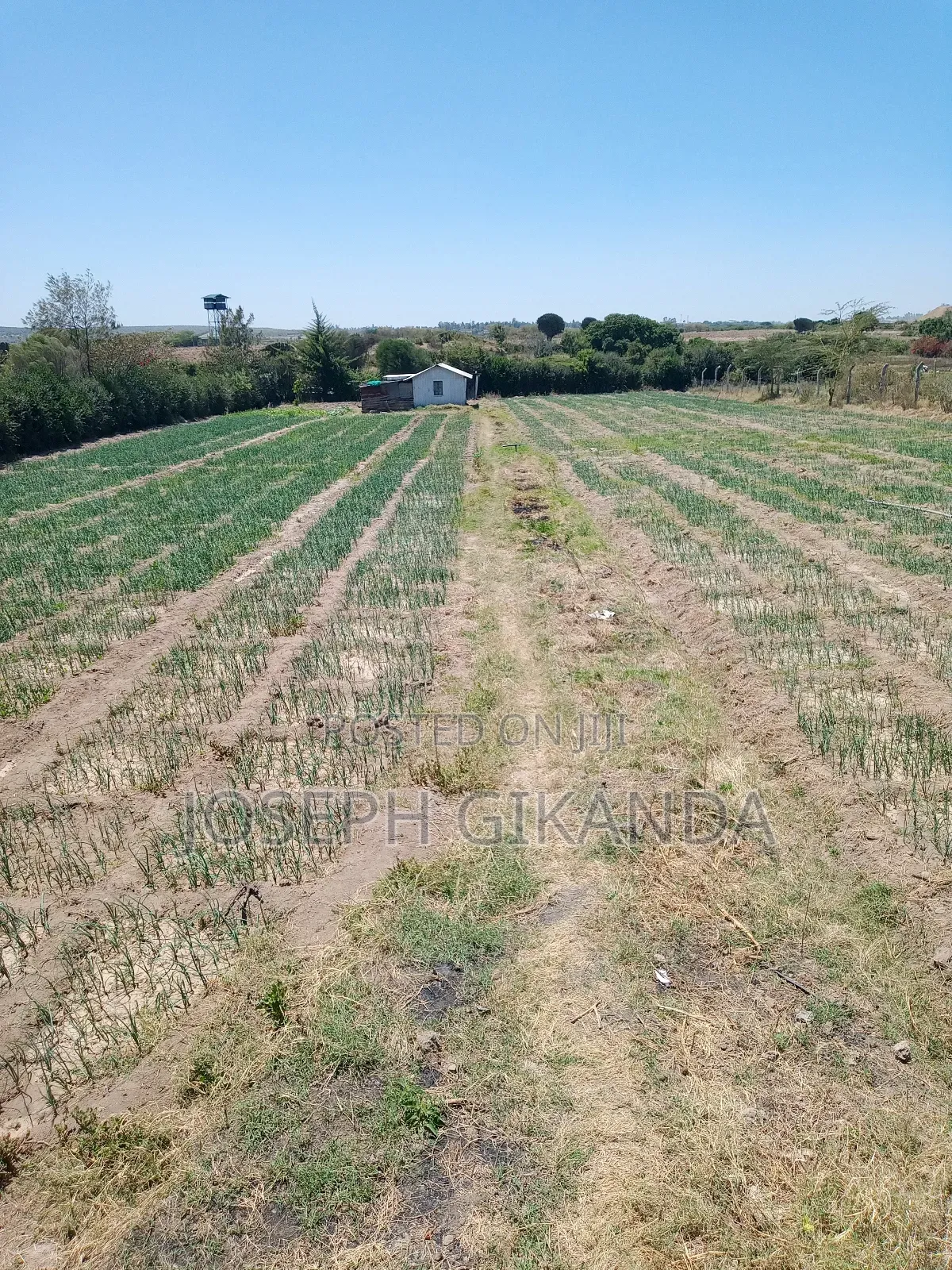 Agricultural Land