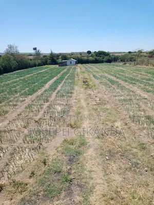 Agricultural Land