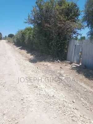 Agricultural Land
