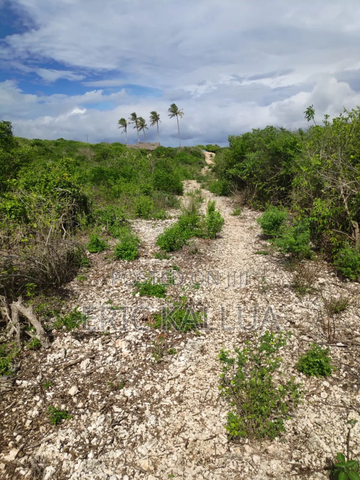 1 Acre Beach Front Uyombo Beach Matsangoni