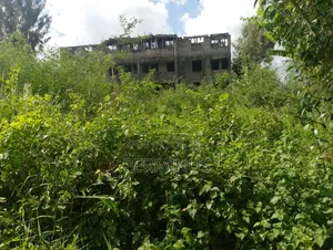 Land on Quick Sale 3/4 Acre.