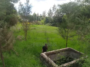 Land on Quick Sale 3/4 Acre.