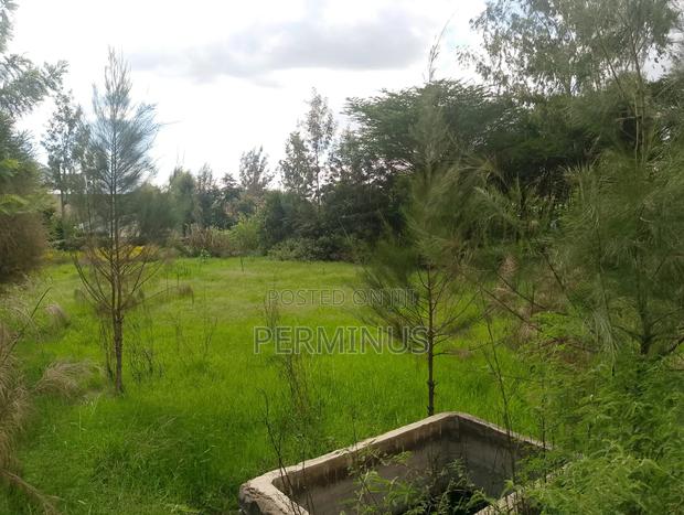 Land on Quick Sale 3/4 Acre. - thumbnail 7