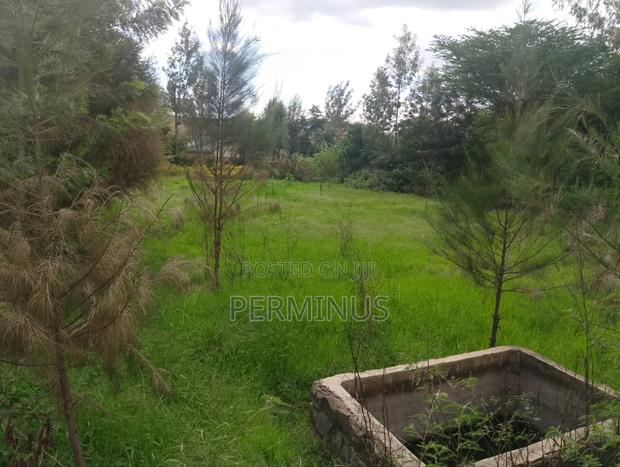 Land on Quick Sale 3/4 Acre. - thumbnail 8