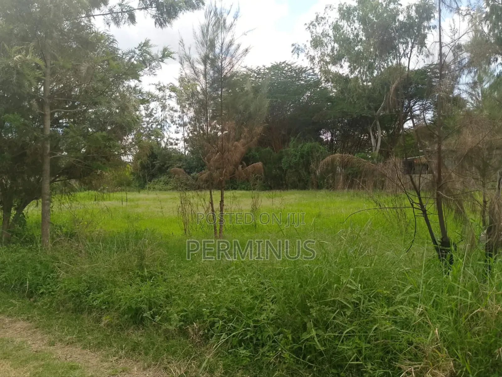 Land on Quick Sale 3/4 Acre.