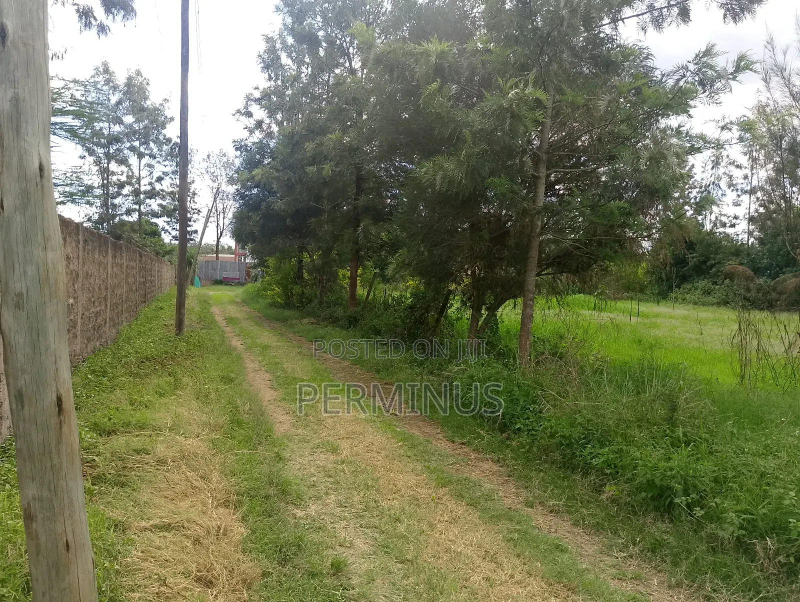 Land on Quick Sale 3/4 Acre.