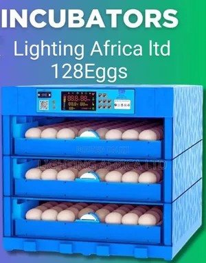 128 Eggs Commercial Ac/Dc Incubator